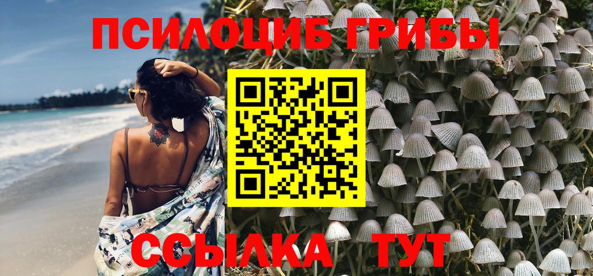 Галлюциногенные грибы Magic Shrooms Кореновск